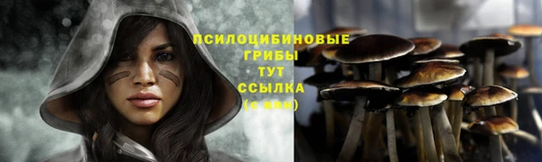 гидропоника Алексеевка
