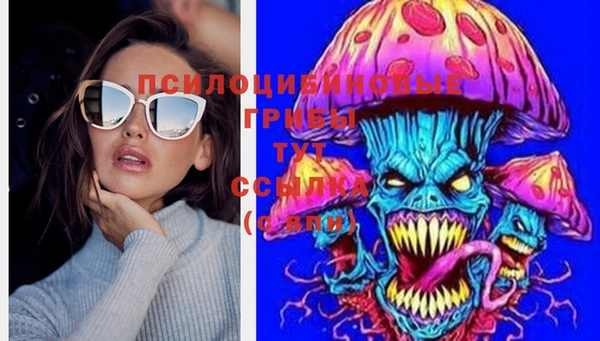 Альфа ПВП Алзамай